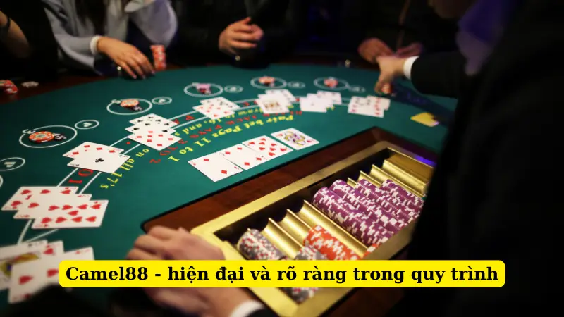 Camel88 - hiện đại và rõ ràng trong quy trình